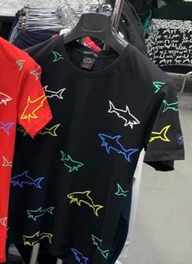 Men's T-Shirt PAUL & SHARK